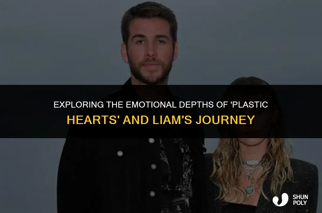 is plastic hearts about liam
