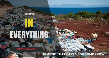 Ubiquitous Plastics: Unveiling the Pervasive Presence in Our Lives