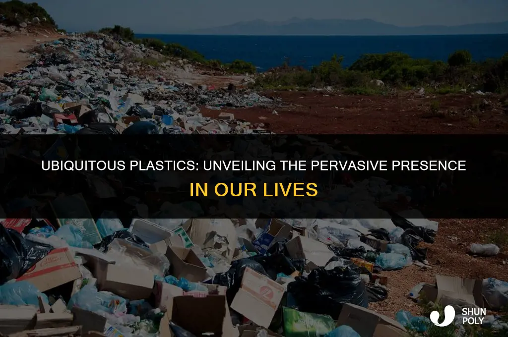 is plastic in everything