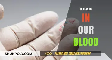 The Invisible Threat: Microplastics and Their Impact on Human Health