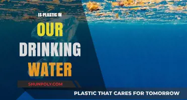 Plastic in our Drinking Water: What's the Truth?