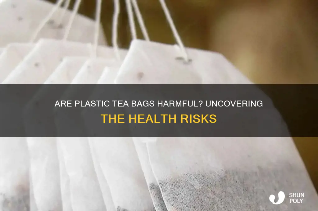 is plastic in tea bags harmful