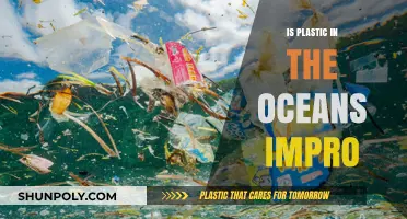 The Ocean's Plastic Problem: An Improbable Solution?