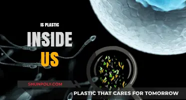 Unseen Invaders: The Alarming Presence of Plastic Within Us