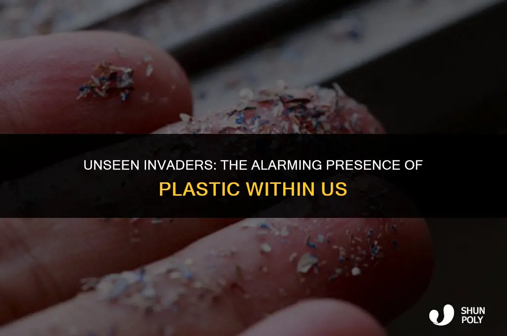 is plastic inside us