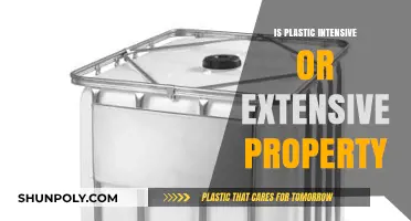 Plastic's Nature: Intensive or Extensive?