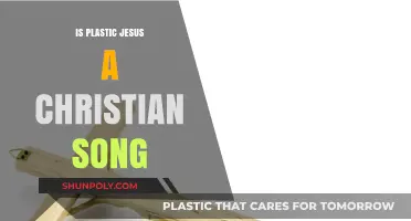 Plastic Jesus: Christian Song or Not?