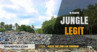 Unveiling the Truth: Is Plastic Jungle a Legitimate Marketplace?