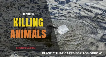 The Deadly Impact of Plastic Pollution on Wildlife