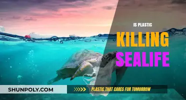 The Silent Threat: How Plastic Pollution Endangers Marine Life