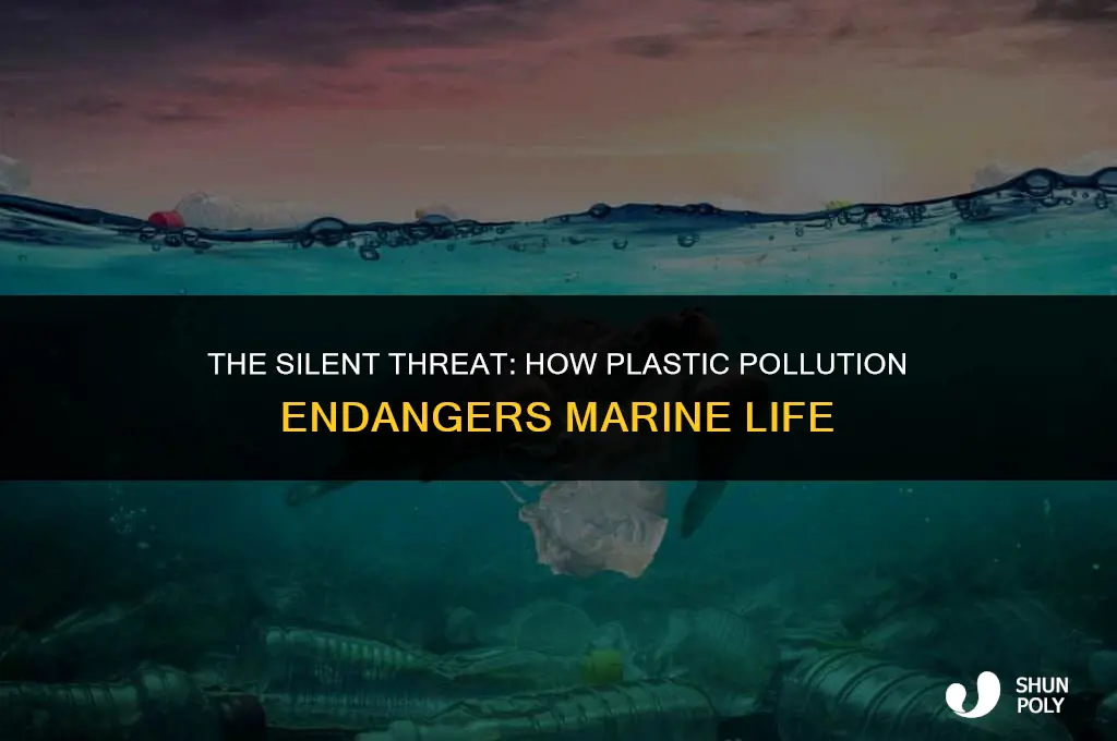 is plastic killing sealife