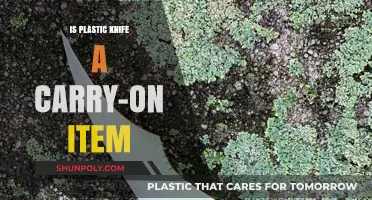 Plastic Knives: Carry-on Confusion?
