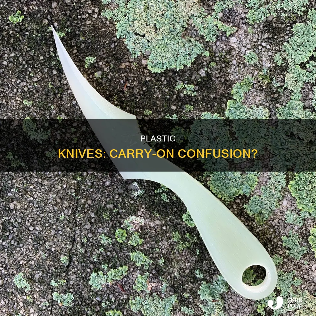 is plastic knife a carry-on item