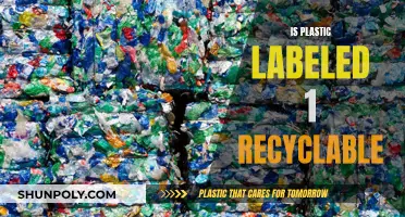 Recycling Plastic Labeled #1: What You Need to Know