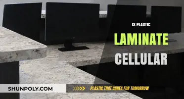 Exploring the Cellular Structure of Plastic Laminate: Facts and Myths