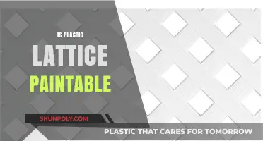 Revamping Your Outdoor Space: The Ins and Outs of Painting Plastic Lattice