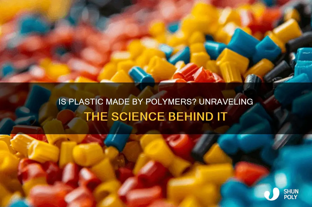 is plastic made by polymers