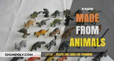 Is Plastic Made from Animals? Uncovering the Surprising Origins of Plastic