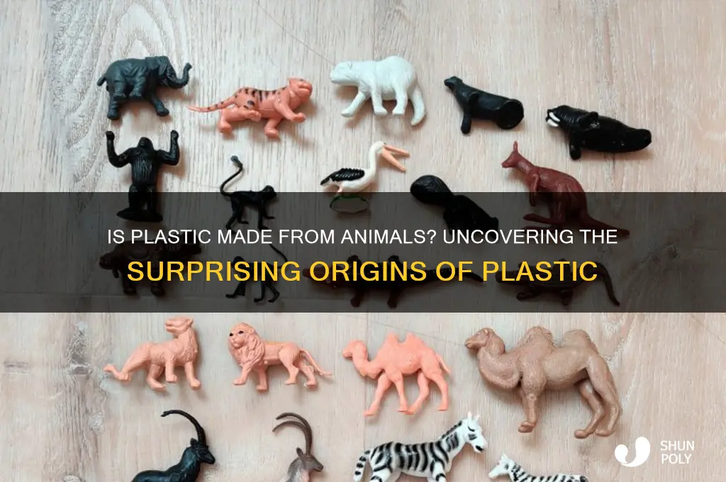 is plastic made from animals