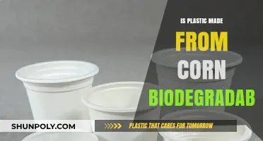 Is Corn-Based Plastic Truly Biodegradable? Unraveling the Eco-Friendly Myth