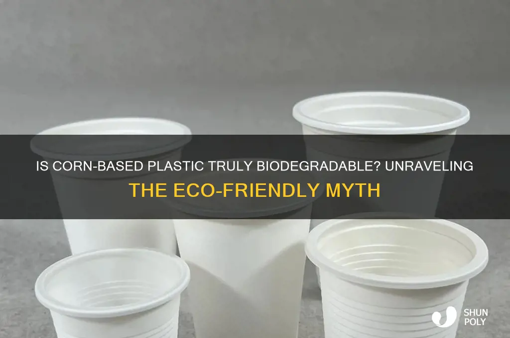 is plastic made from corn biodegradable