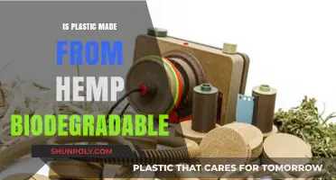 Is Hemp Plastic Biodegradable? Unveiling Eco-Friendly Alternatives to Traditional Plastics