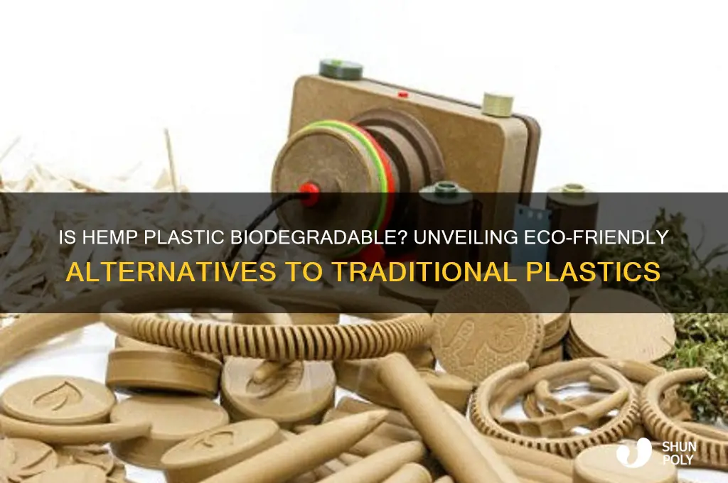 is plastic made from hemp biodegradable