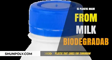 Is Milk-Based Plastic Biodegradable? Exploring Eco-Friendly Alternatives