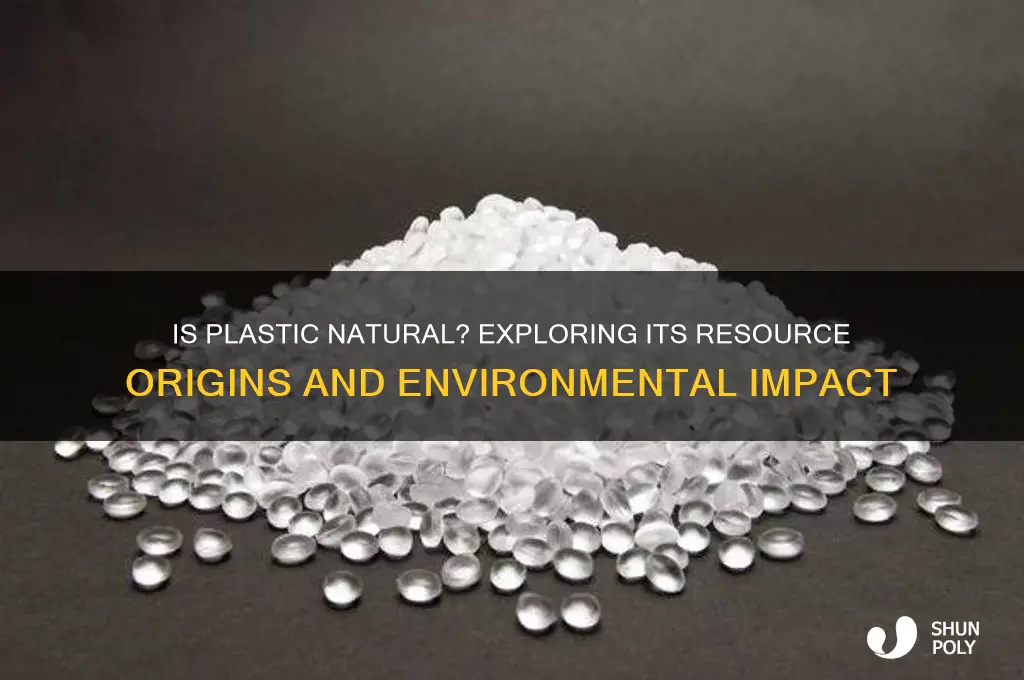 is plastic made from natural resources