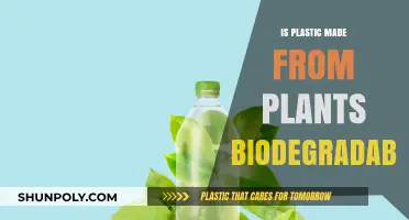 Plant-Based Plastics: Are They Truly Biodegradable?