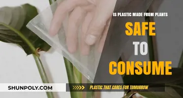 Plant-Based Plastics: Are They Safe for Consumption?