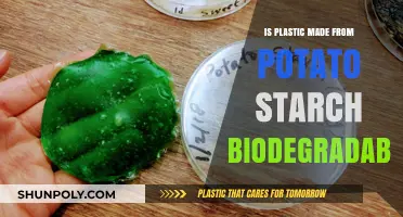 Is Potato Starch Plastic Truly Biodegradable? Exploring Eco-Friendly Alternatives
