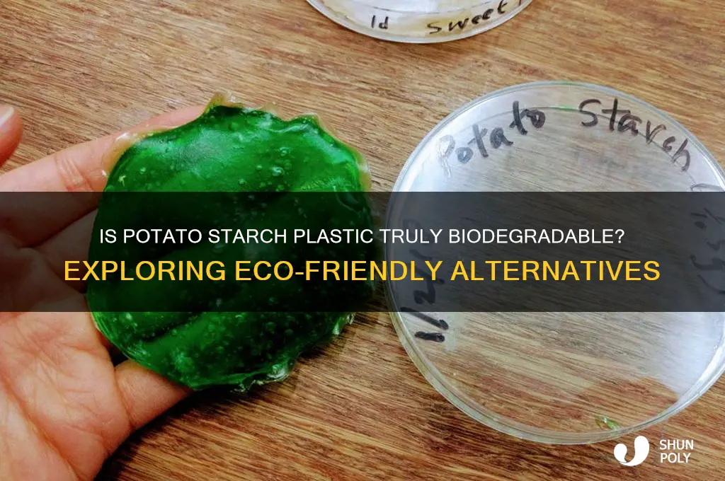 is plastic made from potato starch biodegradable