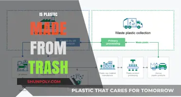 Is Plastic Made from Trash? Uncovering Recycling Myths and Facts