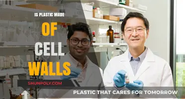 Are Cell Walls the Hidden Source of Plastic Production?