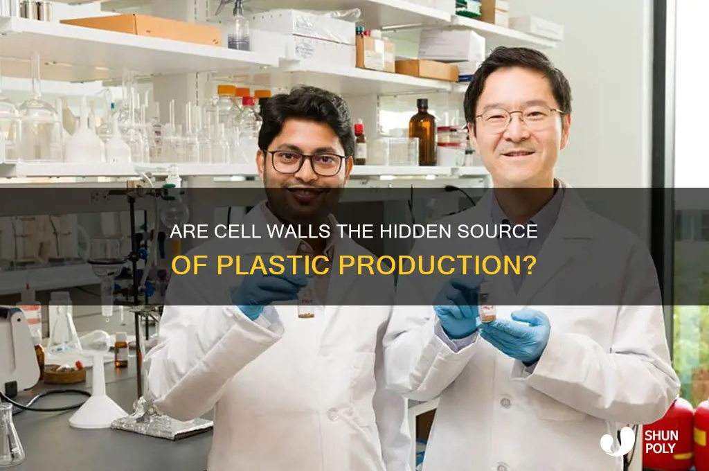 is plastic made of cell walls