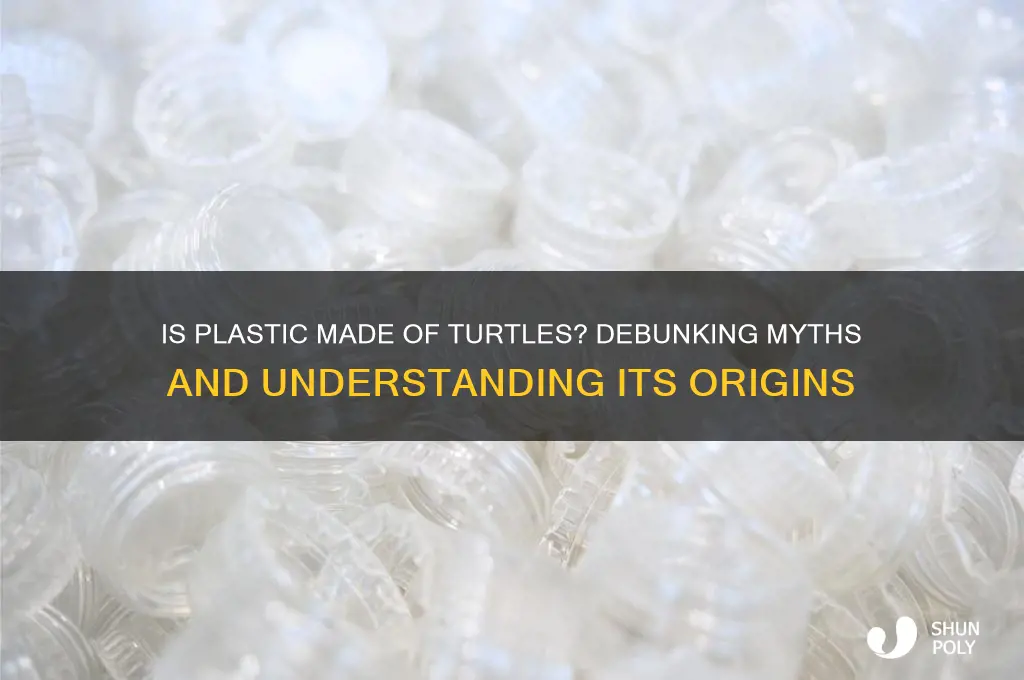 is plastic made of turt