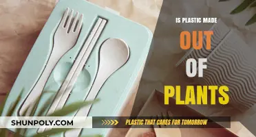 Are Plants the Secret Source of Plastic? Unveiling the Truth