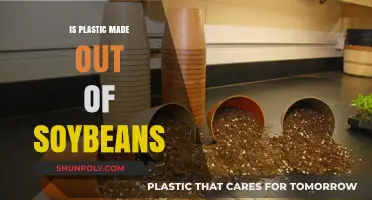 Soybeans and Plastic: Unraveling the Surprising Connection in Modern Materials