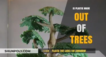 Is Plastic Made from Trees? Unraveling the Surprising Origins of Plastic