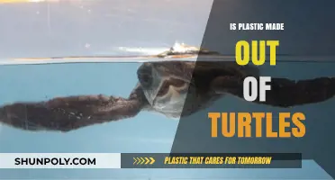 Debunking Myths: Are Turtles Really Used to Make Plastic?