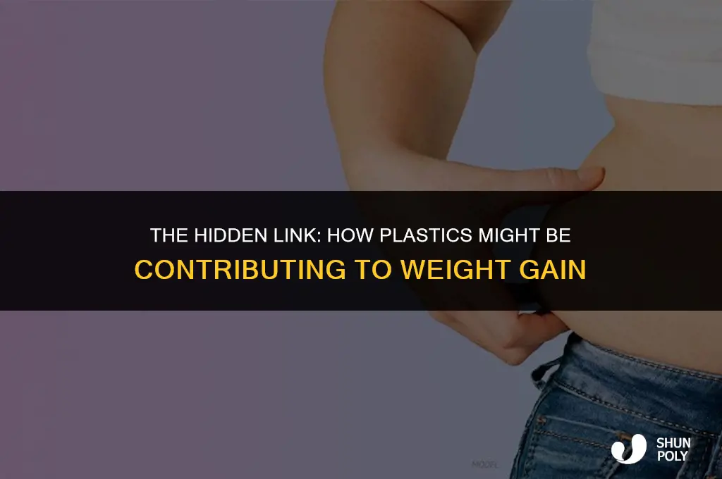 is plastic making us fat