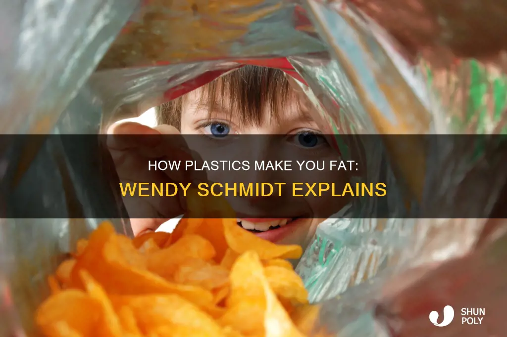 is plastic making you fat wendy schmidt