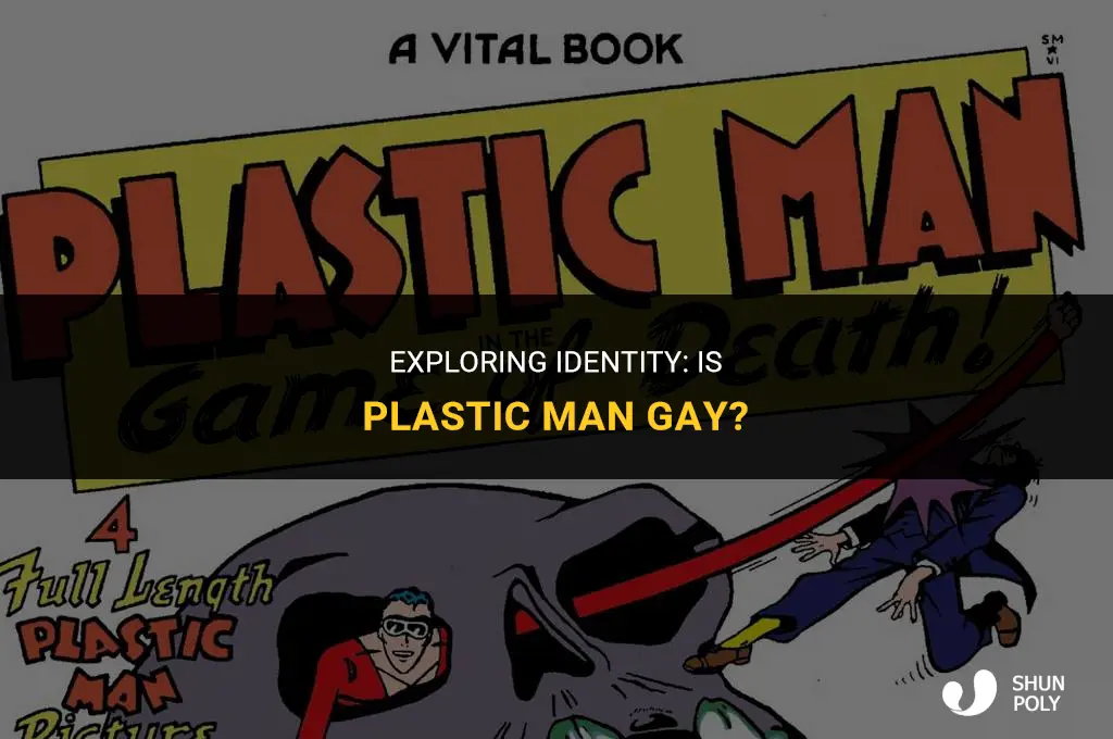 is plastic man gay