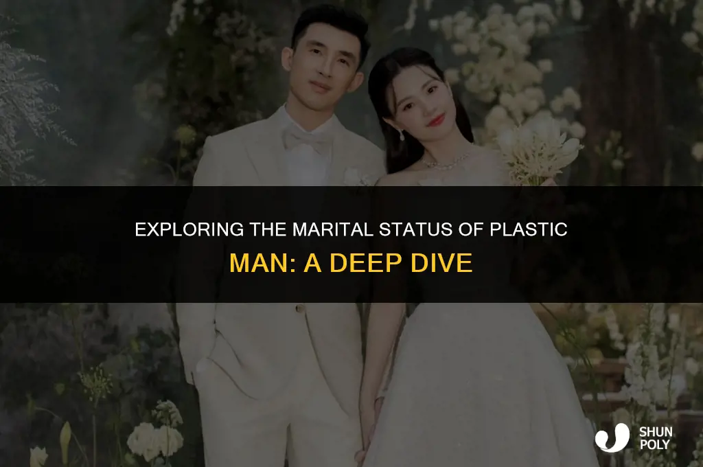 is plastic man married