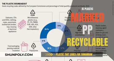 How to Recycle PP Plastic: What You Need to Know