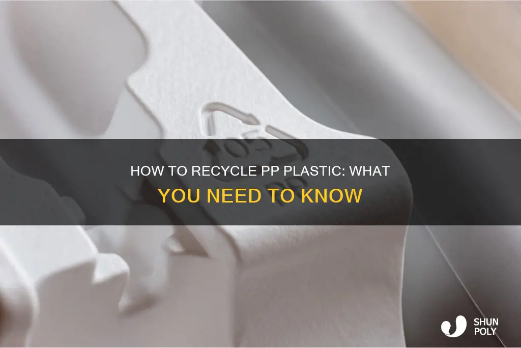 is plastic marked pp recyclable
