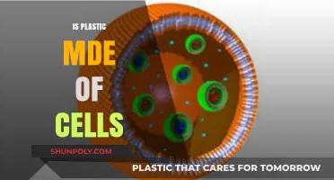 Unveiling the Truth: Is Plastic Made of Cells?