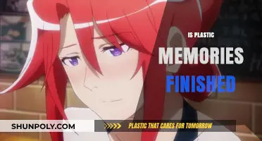 Exploring the Fate of Plastic Memories: Is the Journey Over?