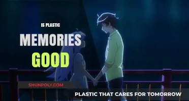 Exploring the Pros and Cons of Plastic Memories: A Comprehensive Guide